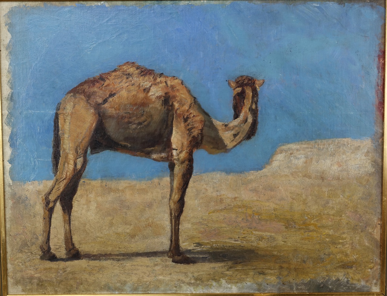 Heinrich Susemihl: Ölgemälde Kamel, zugeschrieben, um 1915