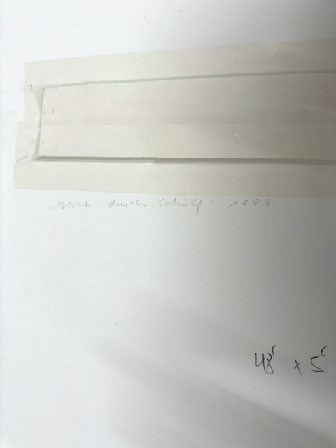 Christopher Lehmpfuhl: Ölgemälde Blick durchs Schilf, signiert datiert, Realismus, 1999